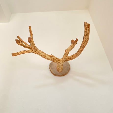 ピノキオの鼻 ④