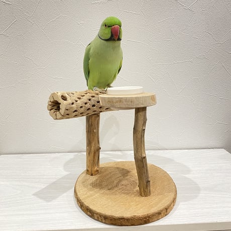 カクタスのスタンドパーチ①　パーチ長さ19cm／高さ17cm