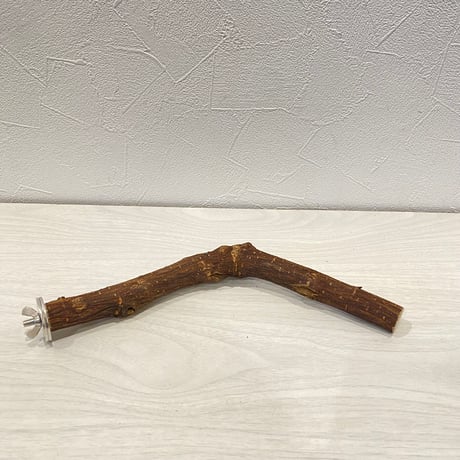自然木（ツタ）パーチ 直径約2cm/長さ24cm