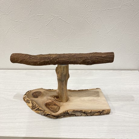 ツタのスタンドパーチ①