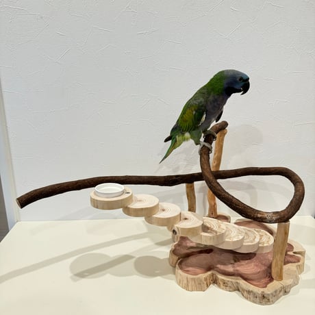 螺旋階段とツタパーチのバードアスレチック【インコのおもちゃ・自然木のとまり木】