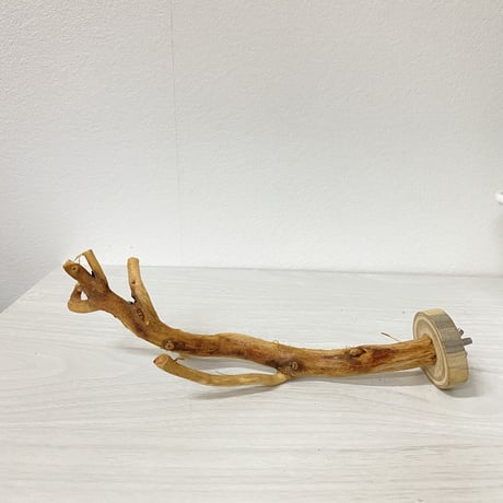 自然木（カイヅカイブキ）のパーチ　直径0.5〜1cm／長さ20cm