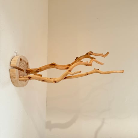 ピノキオの鼻 ②お鼻2本