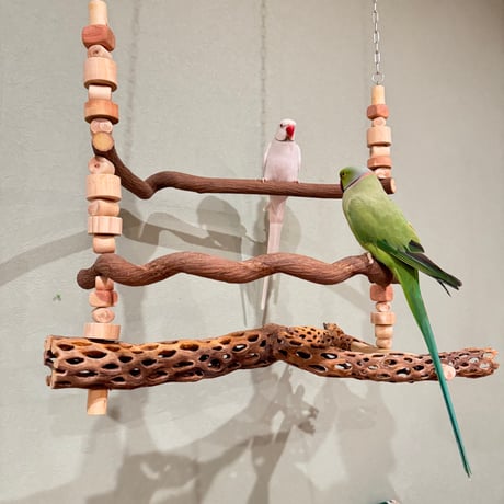 木製 鳥用スタンド ツリー型*5 Amazon.co.jp: オウム止まり木スタンド,木製のオウムの遊び場