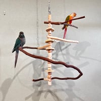 コトリのなる木カスタム　つり下げゆらゆらバードアスレチック【インコ・オウムのおもちゃ・自然木の止まり木】