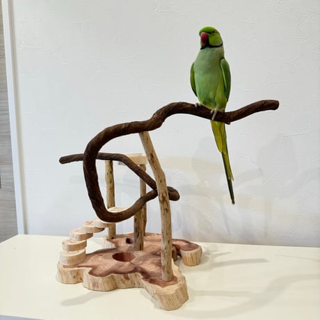 螺旋階段とツタパーチのバードアスレチック【インコのおもちゃ・自然木のとまり木】