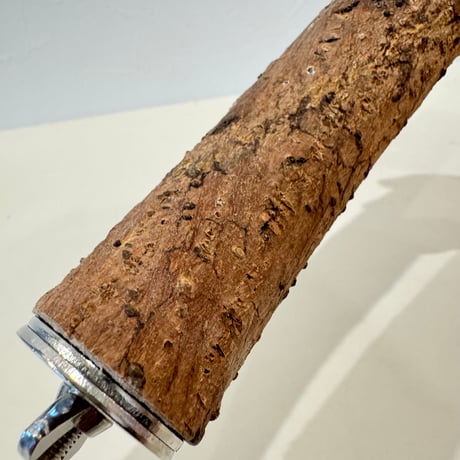 自然木（ツタ）パーチ 直径約3cm/長さ18cm
