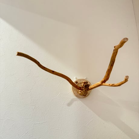 ピノキオの鼻 ①