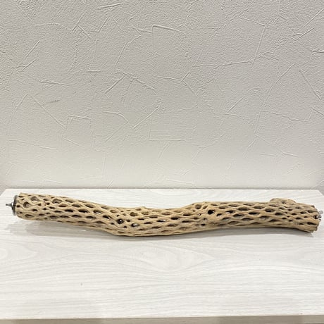 ケージサイズカクタスパーチ  小サイズ③（直径3-4cm）HOEI465