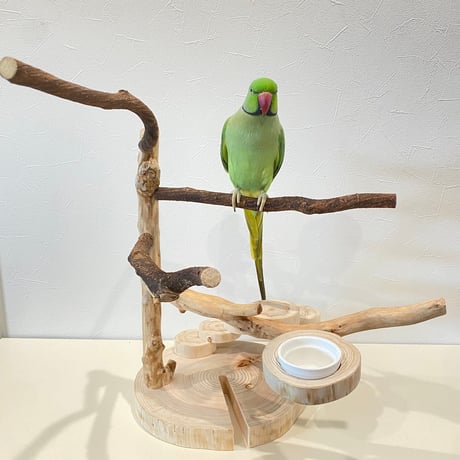 自然木（ツタ・貝塚伊吹）と螺旋階段のバードアスレチック【インコのおもちゃ・自然木のとまり木】