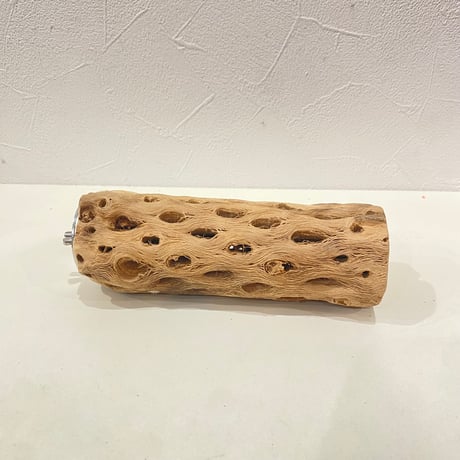 カクタスパーチ② 直径約5cm/長さ15cm