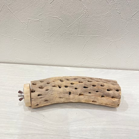 カクタスパーチ⑱中4.5~5.5cm長さ17㎝