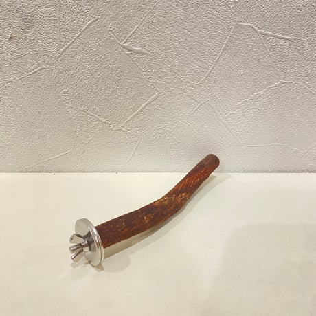 自然木（ツタ）パーチ 直径約1.5cm/長さ14cm