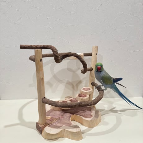ツタと貝塚伊吹の螺旋階段アスレチック【インコのおもちゃ・自然木のとまり木】
