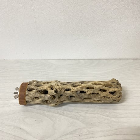 カクタスパーチ 小サイズ④ 直径（約3-4cm）長さ/16cm