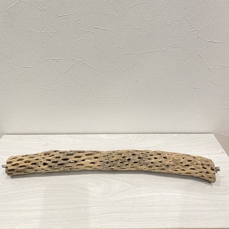 ケージサイズカクタスパーチ④ 小直径3〜4cm HOEI465