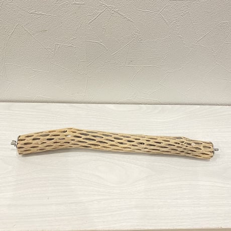 ケージサイズカクタスパーチ②  極小サイズ（直径2-3cm）HOEI35