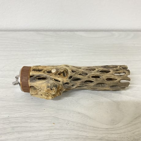 カクタスパーチ① 極小サイズ 直径（約2-3cm）長さ/12cm