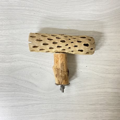 【みどり様専用】カクタスのT字パーチ  横12cm／足6cm