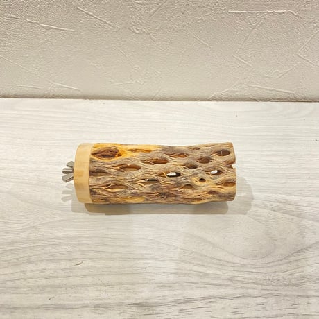 カクタスパーチ【4】直径4~5cm/長さ10cm
