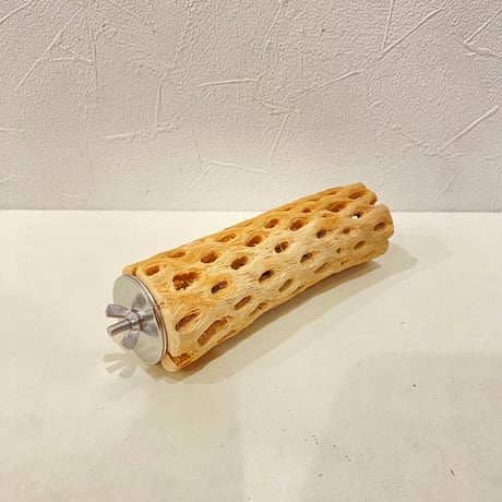 カクタスパーチ⑦ 直径約4.5cm/長さ15cm
