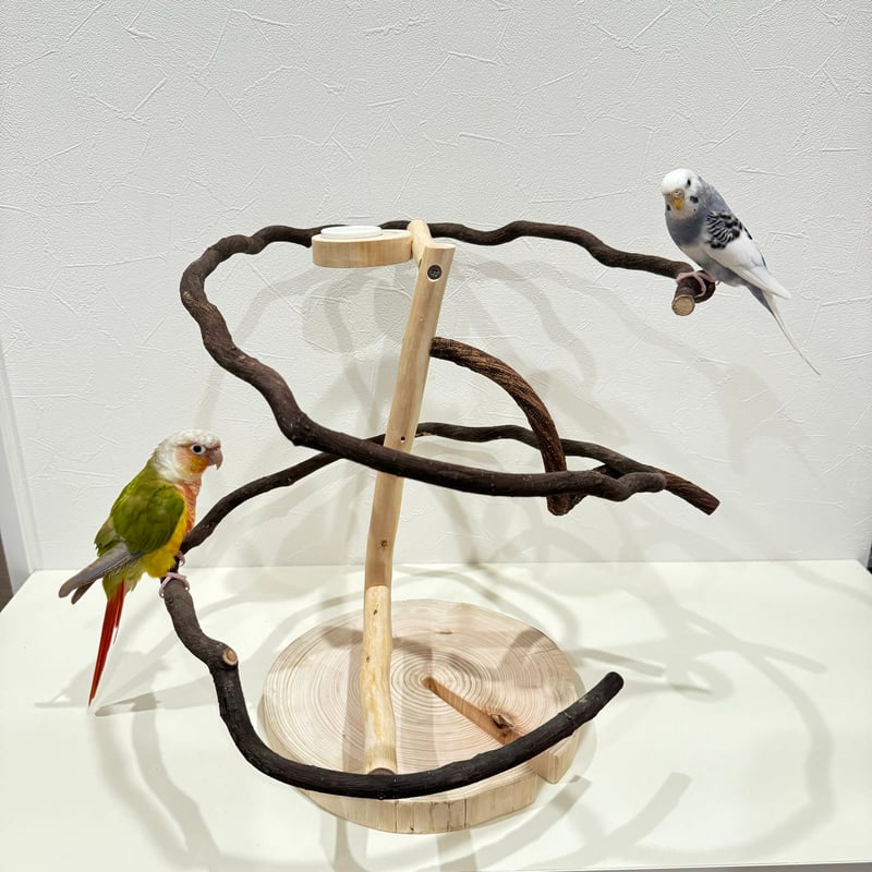 バードトイ　大きなぐるぐるパーチ ツタのぐるぐるバード【インコのおもちゃ・自然木のとまり木