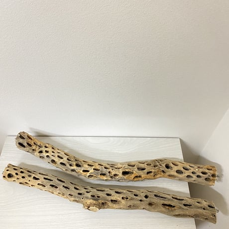 【miru様専用】ケージサイズカクタスパーチ 中直径約5.5cm/59.5cm