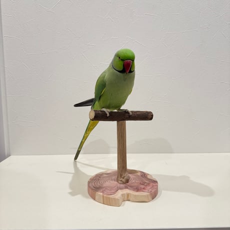 自然木(ツタ)のスタンドパーチ   パーチ長さ15cm／高さ約16.5cm