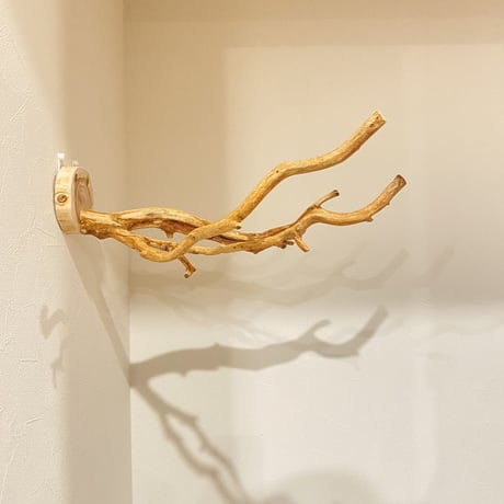 ピノキオの鼻 ⑦