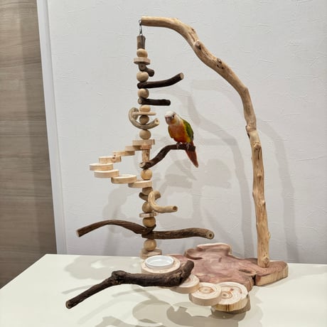 バードアスレチック | STORES バードアスレチック