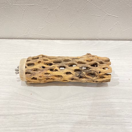 カクタスパーチ【B】直径4~5cm/長さ15cm