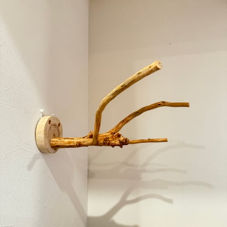ピノキオの鼻 ①