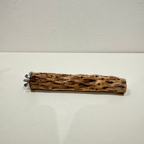 カクタスパーチ | STORES