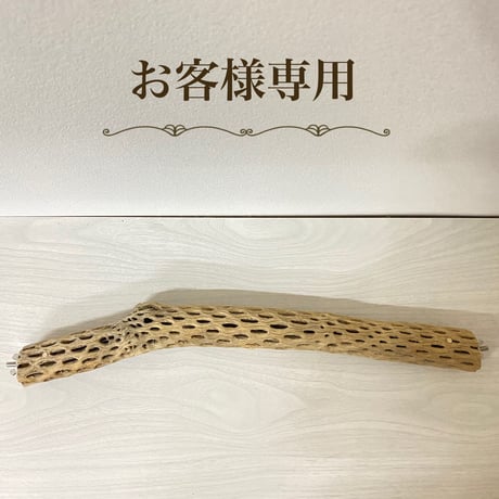 【M様専用】ケージサイズカクタスパーチ 中直径約5.5cm HOEI465