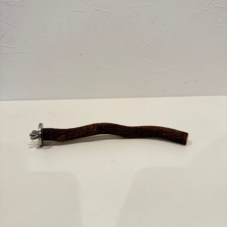 自然木（ツタ）パーチ 直径約1.5cm/長さ19cm