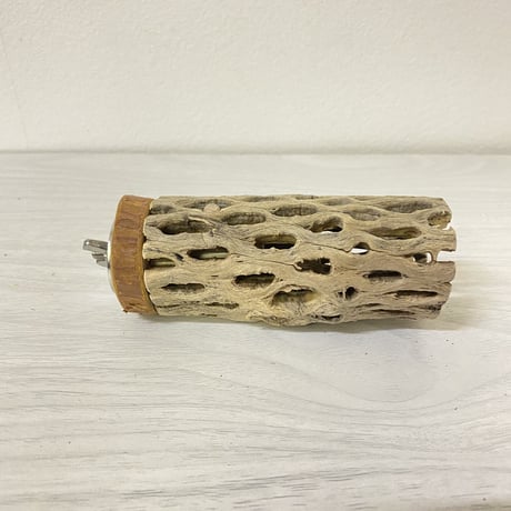 カクタスパーチ① 中サイズ 直径（約5.5cm）長さ/10cm