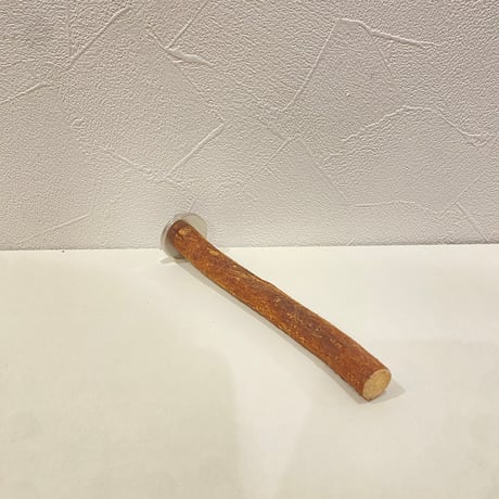 自然木（ツタ）パーチ 直径約1.4cm/長さ14.5cm