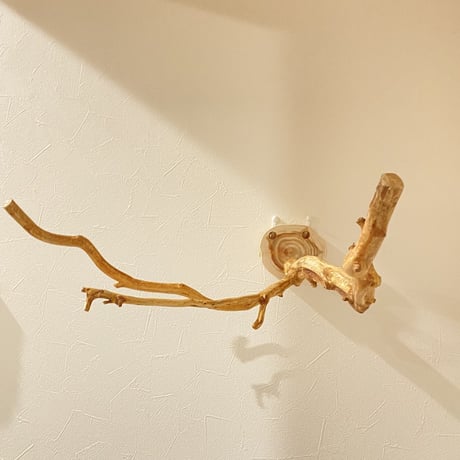 ピノキオの鼻 ⑦