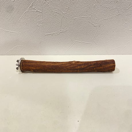 自然木（ツタ）パーチ 直径2cm/長さ18cm