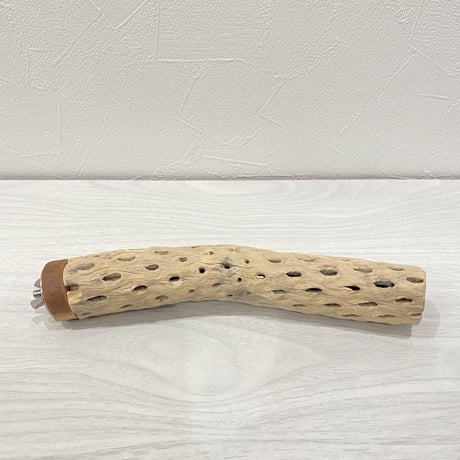 カクタスパーチ② 小サイズ 直径（約3.5cm）長さ/20cm