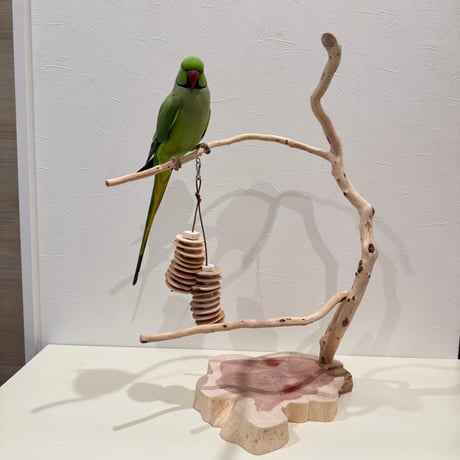 貝塚伊吹のスタンドパーチ 【自然木 とまり木 セキセイインコ・ウロコインコ・オカメインコ】