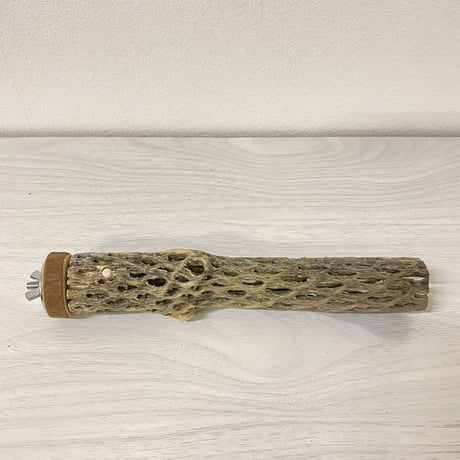 カクタスパーチ⑭ 極小サイズ 直径（約2-3cm）長さ/20cm