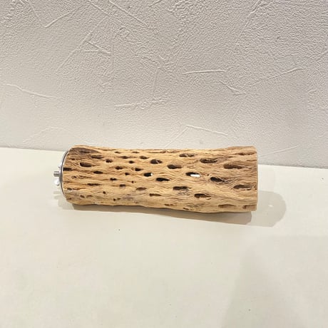カクタスパーチ(F) 直径約4.5cm/長さ15cm