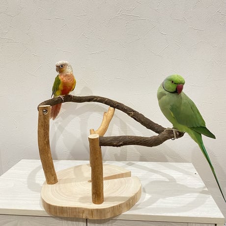 ツタのぴーちくぱーちスタンド①