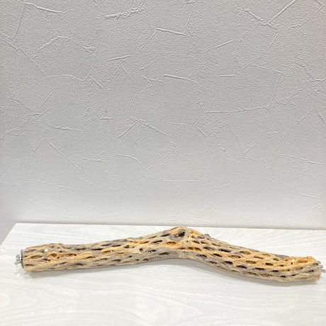 ケージサイズカクタスパーチ② 小サイズ直径3-4cm HOEI465サイズ