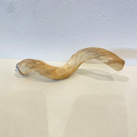 自然木（ツタ皮無し）パーチ 直径約2.5cm/長さ20cm