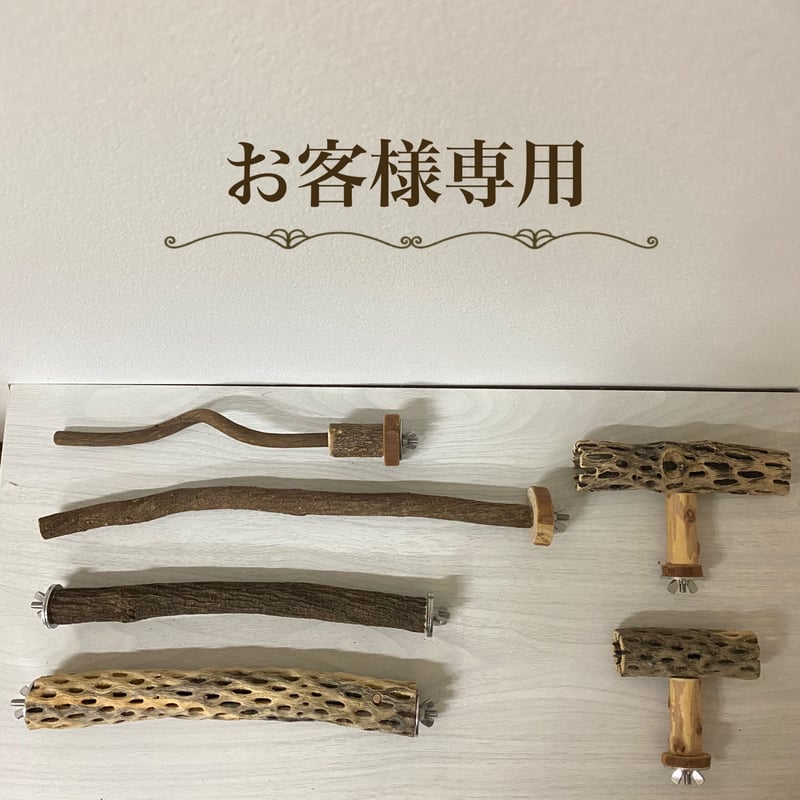 みわみわ様専用 みわさま専用ページ | Pay ID
