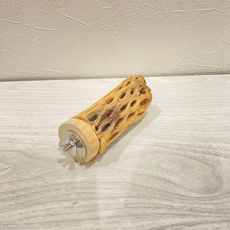 カクタスパーチ【3】直径4~5cm/長さ10cm