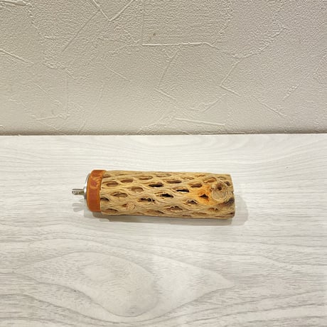 カクタスパーチ③ 極小直径2-3cm/10cm