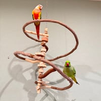 コトリのなる木カスタム　つり下げゆらゆらバードアスレチック【インコ・オウムのおもちゃ・自然木の止まり木】
